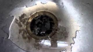 Water From Common Drain Backing Up In Kitchen Sink 05052013 021