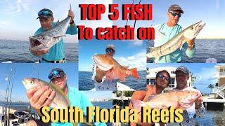 TOP 5 FISH to catch on South Florida Reefs HOW, WHEN & WHERE to catch them
