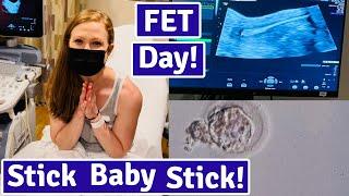 Frozen Embryo Transfer Day! FET Process