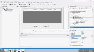 Using Table Adapter Queries