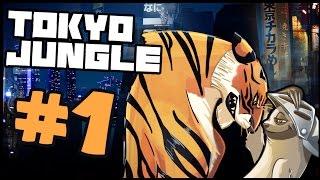 Tokyo Jungle - Part 1: Animal Warfare.