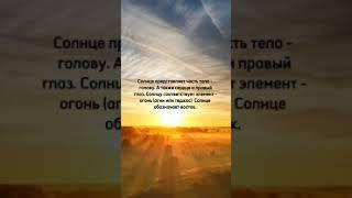 Планета Солнце #лагна #жизньвсветезвезд #астрология #гороскоп #джйотиш #солнце