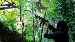 สาวดอย เดินป่ายามกระรอกกินหมากมอนชุดที่2 เม่นมาก Hunting in the jungle