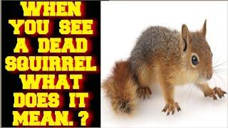 WHEN YOU SEE A DEAD SQUIRREL WHAT DOES IT MEAN ?