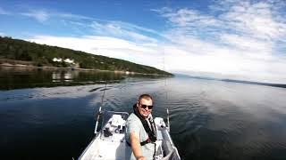 Bunnefjord Fishing Oslo Norway 2019