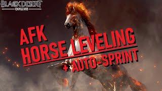 AFK HORSE LEVELING GUIDE & UNLOCKING AUTO-SPRINT | Black Desert Online