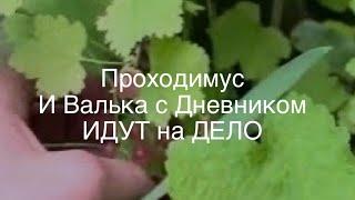 Как НАС с Мамой видит и обсуждает хейтерша. Спасаем Миллиардера 