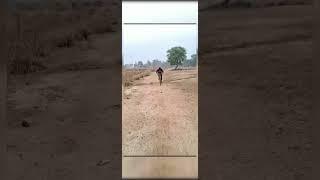 my new videos