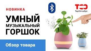 SMART Music Flowerpot. Музыкальный цветочный горшок.