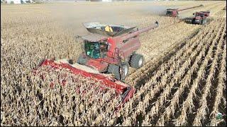 Corn Harvest 2024 with Dick Lavy Farms