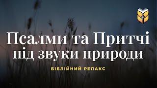 Псалми та Притчі під звуки природи. Біблійний релакс #Біблія Сучасний переклад українською