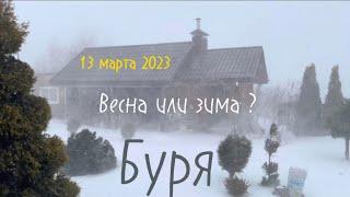 Буря за 20 минут, и сново солнце и за 5 минут сново Буря. #любимыйсадутатьяны @GardenTatsiana