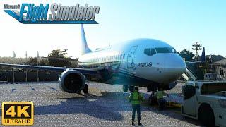 Microsoft Flight Simulator 2020 - THE PMDG 737 IS IN THE GAME!! - 4K - ULTRA - SHOWCASE