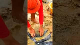 #fishing #fish #fishing life #girl fishing #amazing fish #carpfishing #My life yaya #shorts #reels