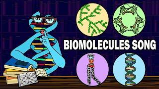 THE BIOMOLECULES SONG