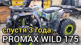 Состояние квадроцикла PROMAX WILD 175 за 3 года эксплуатации. Что менялось?