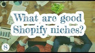 What are good Shopify niches? Best and top niches for store online