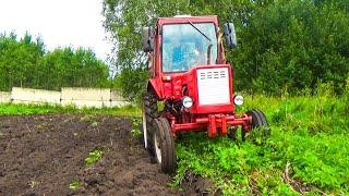 Первое испытание трактора Т-25 после ремонта! Вспашка огорода плугом виракс 2-25.