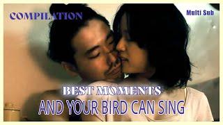 ENG SUB MULTI [Compilation] Best Moments | And My Bird Can Sing