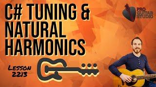 C# Tuning & Natural Harmonics [Lesson 2213]