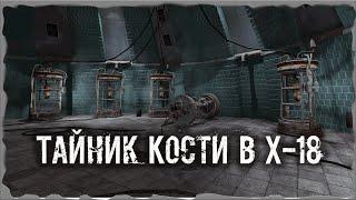 Тайник Кости Х-18 S.T.A.L.K.E.R. ОП - 2.1 Народная Солянка