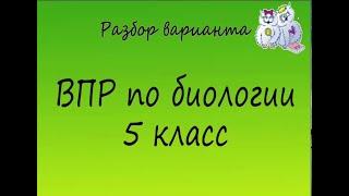 Биология. Разбор варианта ВПР по биологии 5 класс. Вариант 1