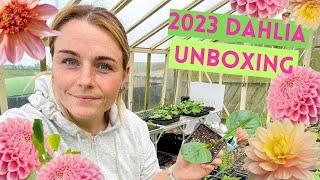 Dahlia Delivery (Unboxing, Potting & Pinching) 