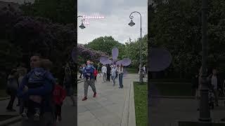 Сиреневый сад - знаменитый сирингарий Москвы #Весна #Сирень #Москва #Май