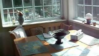 Kitchen, house in Annapolis Valley, Nova Scotia, Old Post Rd.