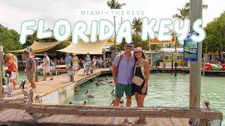 FLORIDA KEYS ️ Islamorada, Amara Cay, Robbies, & a day in Key West!