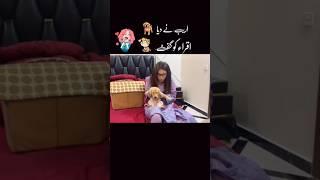 Iqra new puppy #sistrolgy #love #india #tranding #shortfeed #subscrib1 #iqrakanwal