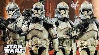 104th Clone Trooper Battalion [The Wolf Pack] Fully Explained