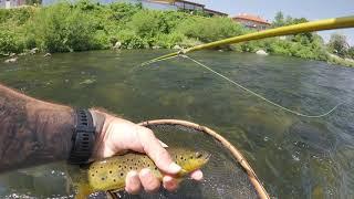 Fly fishing, catching trout in Bulgaria, Vacha river, 2021, the episode 2, the beginning of July