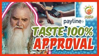 I PROBED Payline Data for Several Months in 2025: Here Are My HONEST REVIEW's SHOCKING RESULTS!