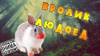 The Cursed Forest обзор на русском #1/кролик людоед ,The Cursed Forest прохождение на YouTube