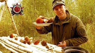 Survival Russia: Autumn Wild Edibles Special