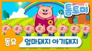 엄마돼지 아기돼지 | 토실토실 아기돼지들의 즐거운 하루! | 인기동요 | 동물동요 | 톰토미 (TOMTOMI)