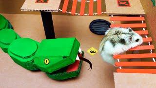 Snake Hamster Maze with Traps - obstacle course