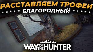 [СТРИМ] Way of the Hunter  5-ЗВЕЗД БЛАГОРОДНЫЙ ОЛЕНЬ  - РАССТАВЛЯЕМ ТРОФЕИ