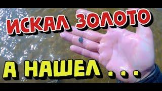 Приехал на пляж за ЗОЛОТОМ а нашёл ЧЕШУЮ . Поиск с металлоискателем 2021. КОП