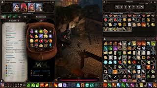 Divinity Original Sin 2#Противоположности притягиваются#Opposites Attract