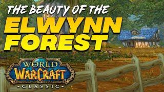 The Beauty of the Elwynn Forest | WoW Classic Zone Overview