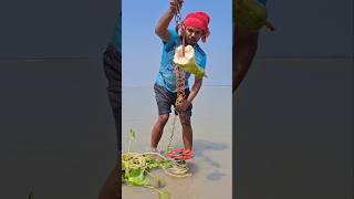 Fishing for carp with gourd bait 4 #fishing #shorts #viralvideo #bait