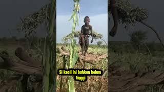 orang tua mereka hanya bisa mengajarkan untuk bertahan hidup mandiri #reactionvideos #shorts