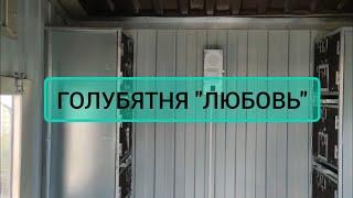 ГОЛУБЯТНИ В РОССИИ, какими они должны быть? ОБЗОР УТЕПЛЕННОЙ ГОЛУБЯТНИ!