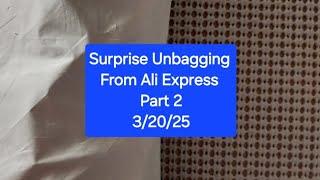 Surprise Unbagging From Ali Express Part Two  Stunning Spring Company Kit 3/20/25