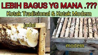 PERBANDINGAN ‼️ kotak lebah tradisional dan kotak lebah modern.#lebah #apiscerana #bee