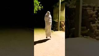 bhutiya ko pagal bana Diya, horror comedy, #viral #shorts #funny #comedy #tiktok #bhoot