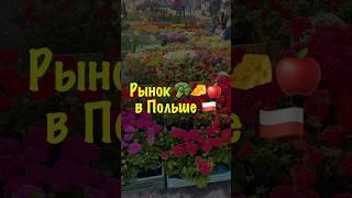 ЗА ПРОДУКТАМИ  НА РЫНОК  В ПОЛЬШЕ , БЫДГОЩ #рынок #фрукты #польша #poland #market #bydgoszcz