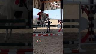 Jumping elf is here  Merry Xmas ️ #gilaryeq #equestrian #showjumping #xmas #horse #fyp